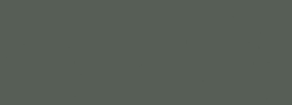 Foresta Verde 24.2x70