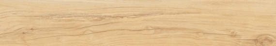 Alleya Honey Str. 20x120