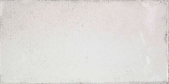 Керамическая плитка Vita bianco 10x20 см