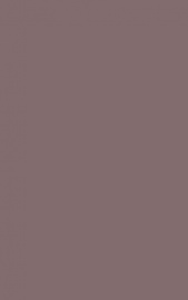 Плитка Creto Monica wine 25х40