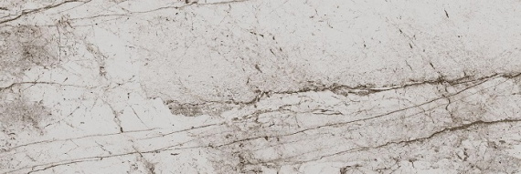 Плитка Eurotile PASSION LIGHT 802 29,5х89,5