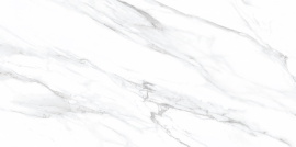 Alma Ceramica TWU09VEG007 плитка облицовочная Vegas  249*500