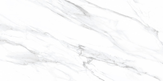 Alma Ceramica TWU09VEG007 плитка облицовочная Vegas  249*500