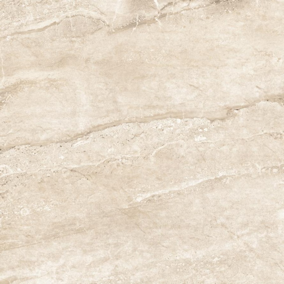 Alma Ceramica GFU04DRL40R плитка напольная керамогранитная Daino Reale 600*600