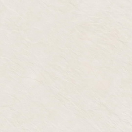 Alma Ceramica GFU04EVL08R плитка напольная керамогранитная Evolution 600*600