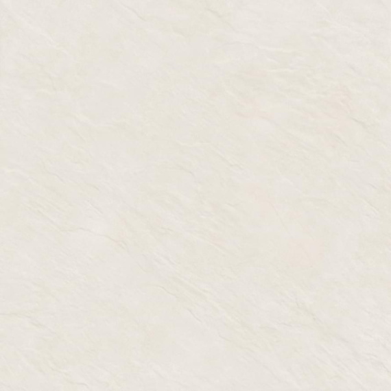 Alma Ceramica GFU04EVL08R плитка напольная керамогранитная Evolution 600*600