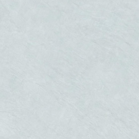 Alma Ceramica GFU04EVL10R плитка напольная керамогранитная Evolution 600*600