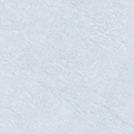 Alma Ceramica GFU04EVL60R плитка напольная керамогранитная Evolution 600*600