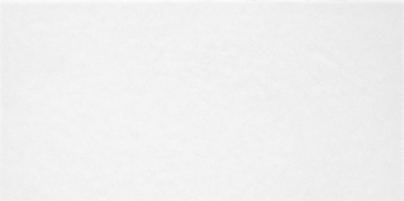 Alma Ceramica TWU09MNR020 плитка облицовочная Monocolor 249*500