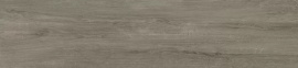 Alma Ceramica GFA2090MLT40R плитка керамогранитная Milton 200*900