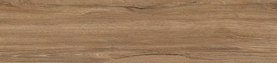 Alma Ceramica GFA2090GRW40R плитка керамогранитная Grandwood 200*900