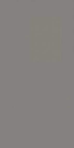 SLATE GREY Matt Full Body 60х120 керамогранит