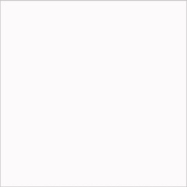 Плитка Extra White 60x60 Polished ( Snow White) С0006053
