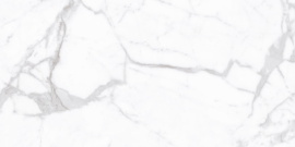 Плитка Proven 60x120 Polished С0006056