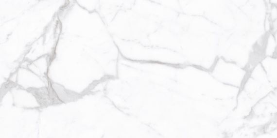 Плитка Proven 60x120 Polished С0006056