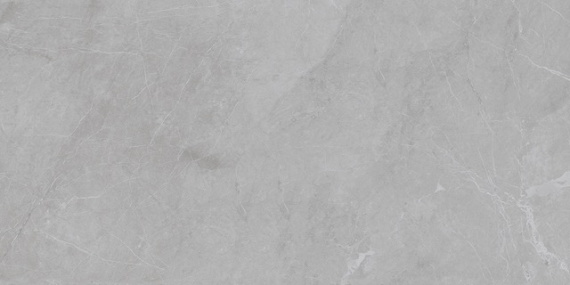 Плитка Barcelona Light Grey 60x120 5мм Matt С0005748