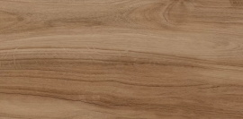 Керамогранит Шварц 300x603 натуральный 6260-0196
