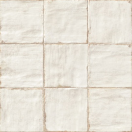 Плитка PT02483 Livorno Pav. Blanco 20*20
