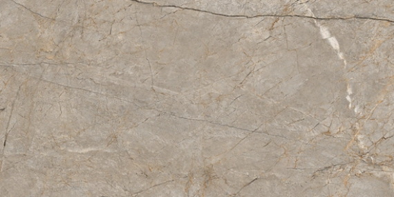 Керамогранит Futura тонкий Silver Roots серый ректификат 60x120 A17124