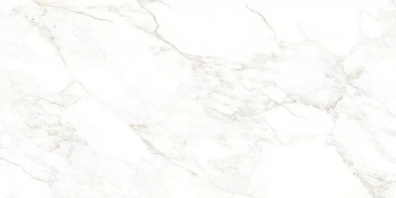 Керамогранит Nt Ceramic Marble Extra Endless mat NTT99526M 60x120