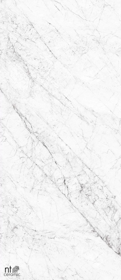 Керамогранит Nt Ceramic Carrara Elite NTT3602С 120х280