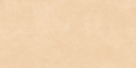 Керамогранит Buono Ceramica Credo Сhampagne Carving 60x120 BHS4490C
