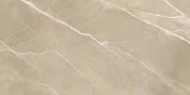 Керамогранит New Trend 60120ESE21P Essential Marron полированный 600*1200