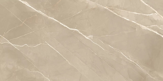 Керамогранит New Trend 60120ESE21P Essential Marron полированный 600*1200