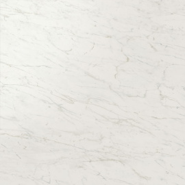 Керамогранит Atlas Concorde Italy AY2U Marvel Cremo Delicato Lappato 120x120