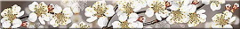 Бордюр Azori 50,5x6,2 AMATI SAKURA 584191002