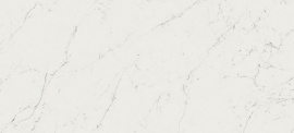 Плитка Atlas Concorde Italy AZOQ Marvel Carrara Pure 110 50x110