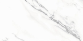 Керамогранит Staro Palacio Majestic White Polished 60x120 С0003696
