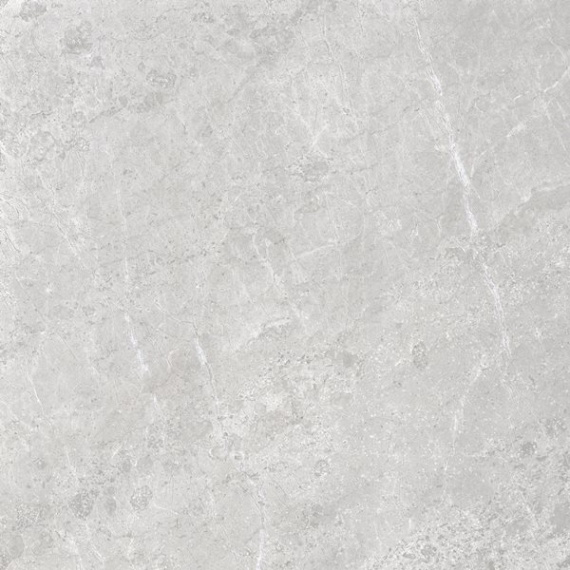 Керамогранит 28947 ALPINE Grey SP 100x100
