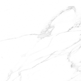Керамогранит V55909011 Artic Nature 59.6x59.6