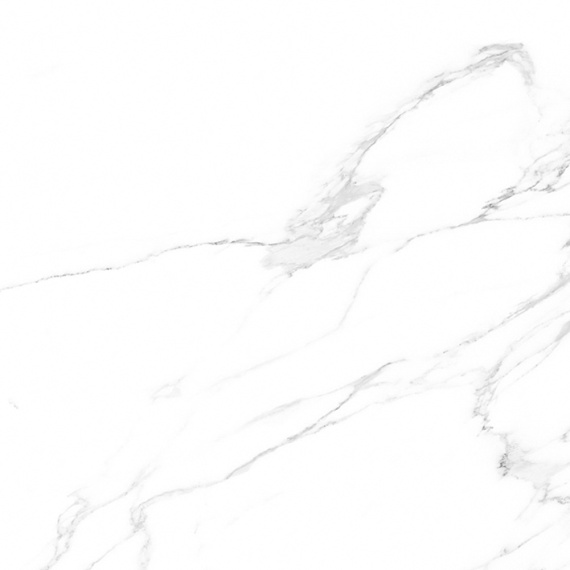 Керамогранит V55909011 Artic Nature 59.6x59.6