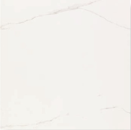 Керамогранит V57000731 Artic Nature 80x80