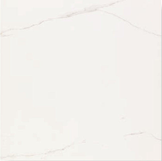 Керамогранит V57000731 Artic Nature 80x80