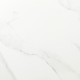 Керамогранит Calacatta Mate White 59x59