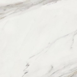 Керамогранит 188206 Calacatta Superwhite Rec 60x60
