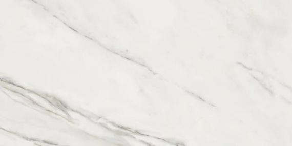 Керамогранит 188223 Calacatta Superwhite Rec 60x120