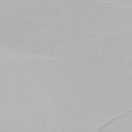 Керамогранит V57000451 Dayton Ash 80x80