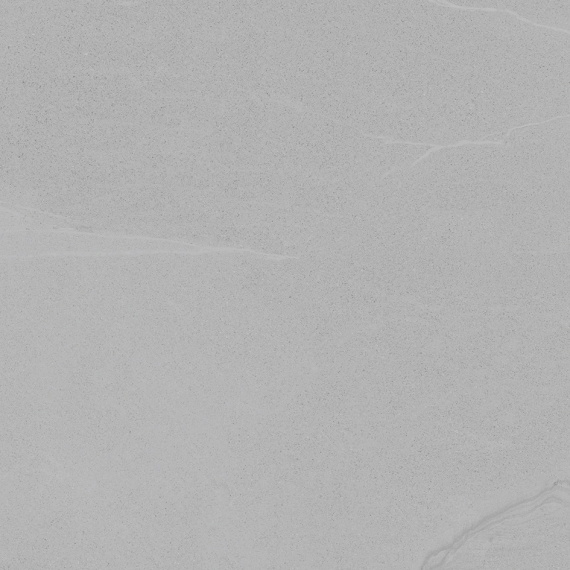 Керамогранит V57000451 Dayton Ash 80x80