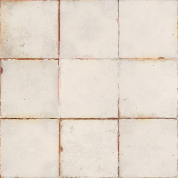 Керамогранит 20527 Francisco Segarra Mirambel-B 33x33