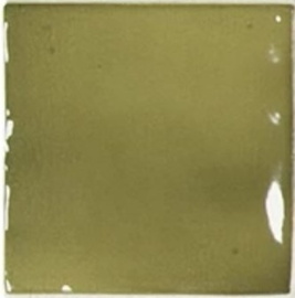 Плитка Equipe 26918 Basil Green 10x10