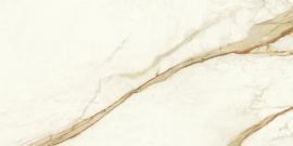Керамогранит Atlas Concorde Italy A4QZ Marvel Calacatta Imperiale Matt 60x120