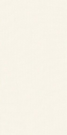 Плитка Italon 600010002160 Room White Texture 40x80