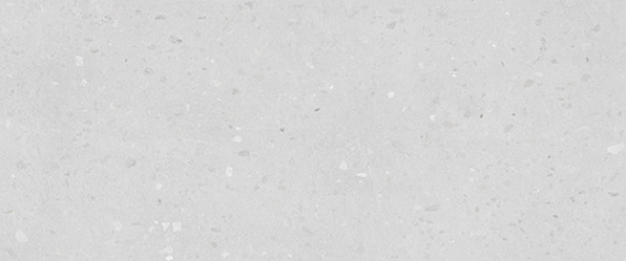 Плитка Supreme grey 01 25х60