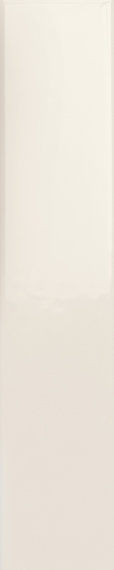 Плитка 4100720 Milk Glossy 5x25