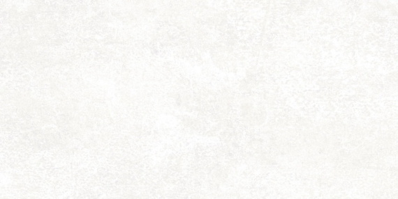 Плитка Alma Ceramica TWU09PMT004 Piemonte 249*500*7.5