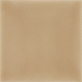 Плитка A5500 ATELIER Camurca 10х10